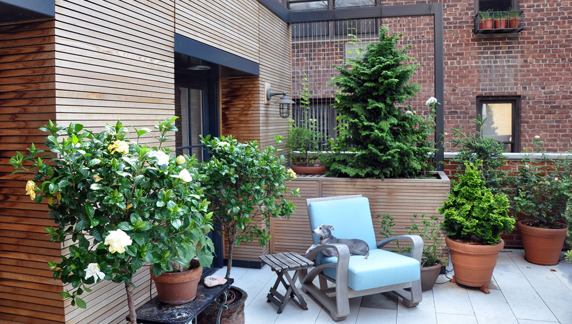 terrace with wood slats, custom steel, and dog on blue chair